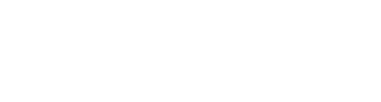 Bîdar Logo